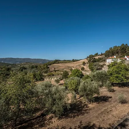 Hébergement de vacances Casa Do Olival