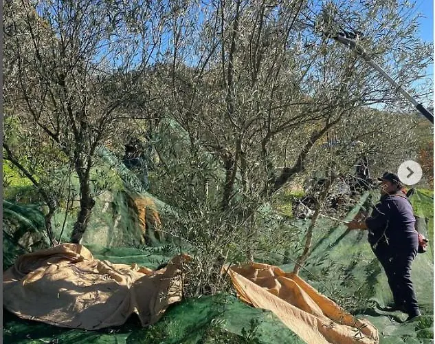 Casa Do Olival Nyaraló