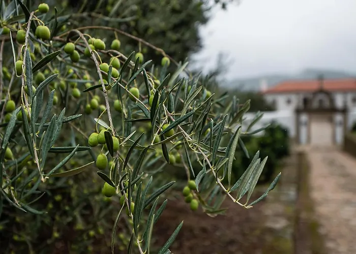 Casa Do Olival Ferienhaus Tarouca